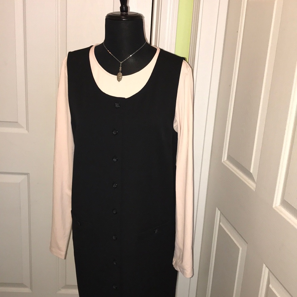Talbots sleeveless, button down dress.
